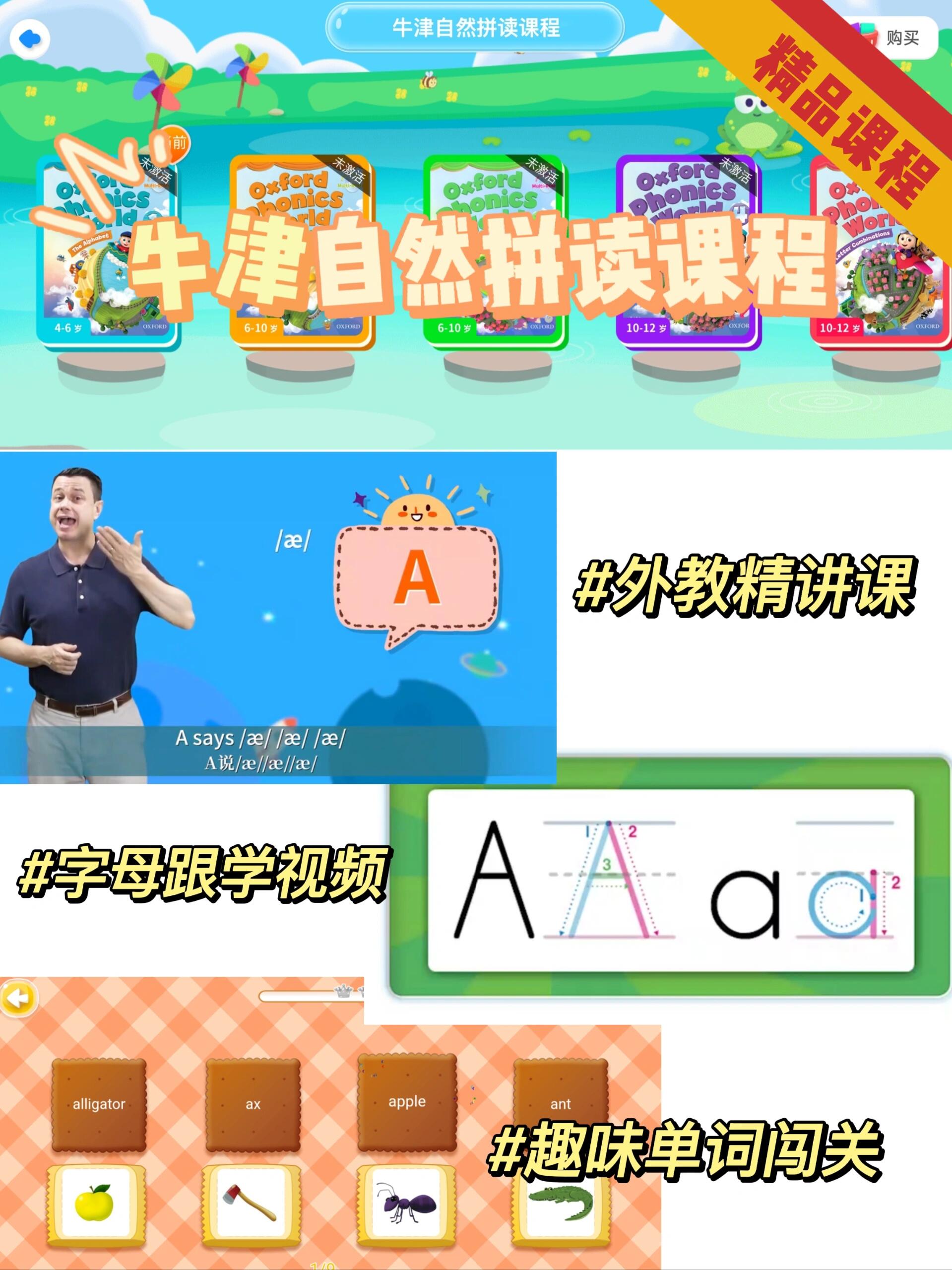 13400297024166726.jpeg