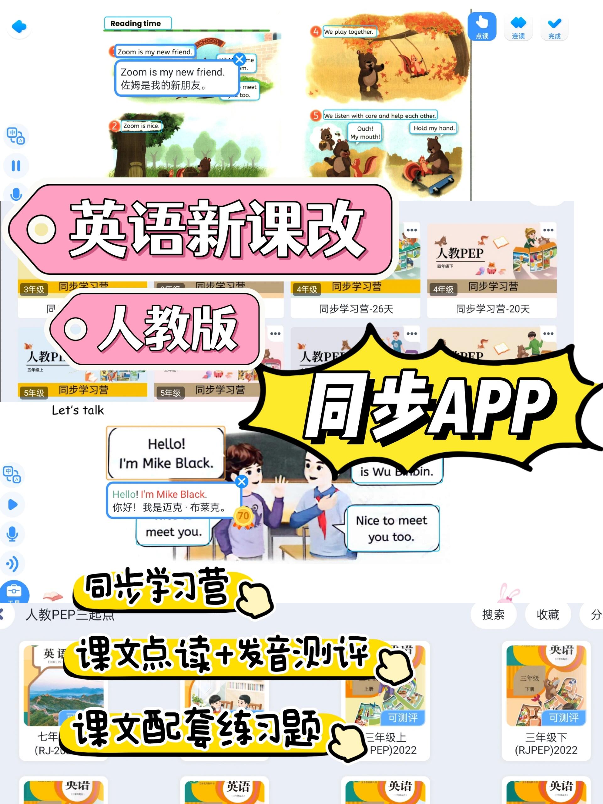 13400297227295505.jpeg