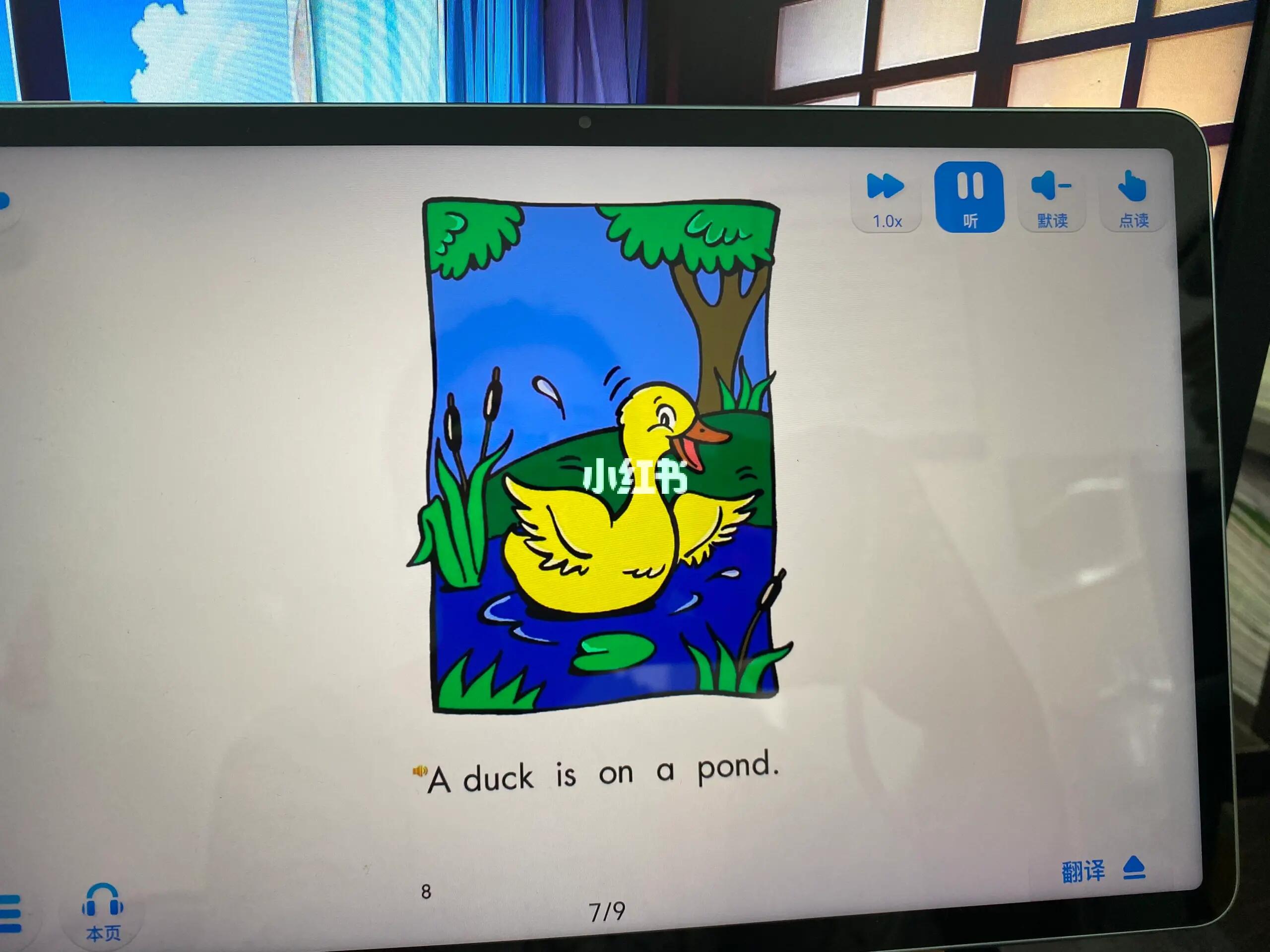 13400816691327939.jpeg