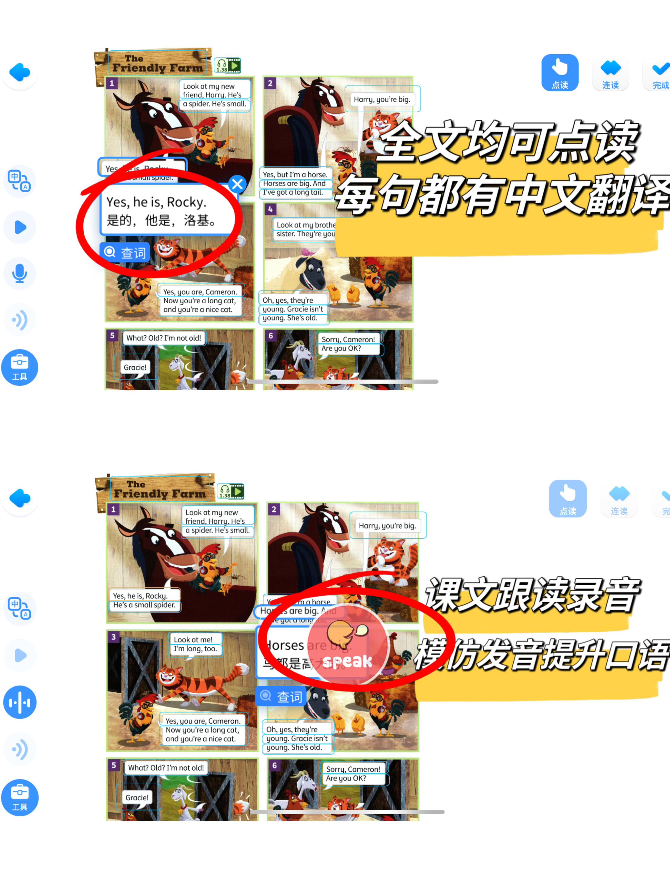 13404617234841981.jpeg