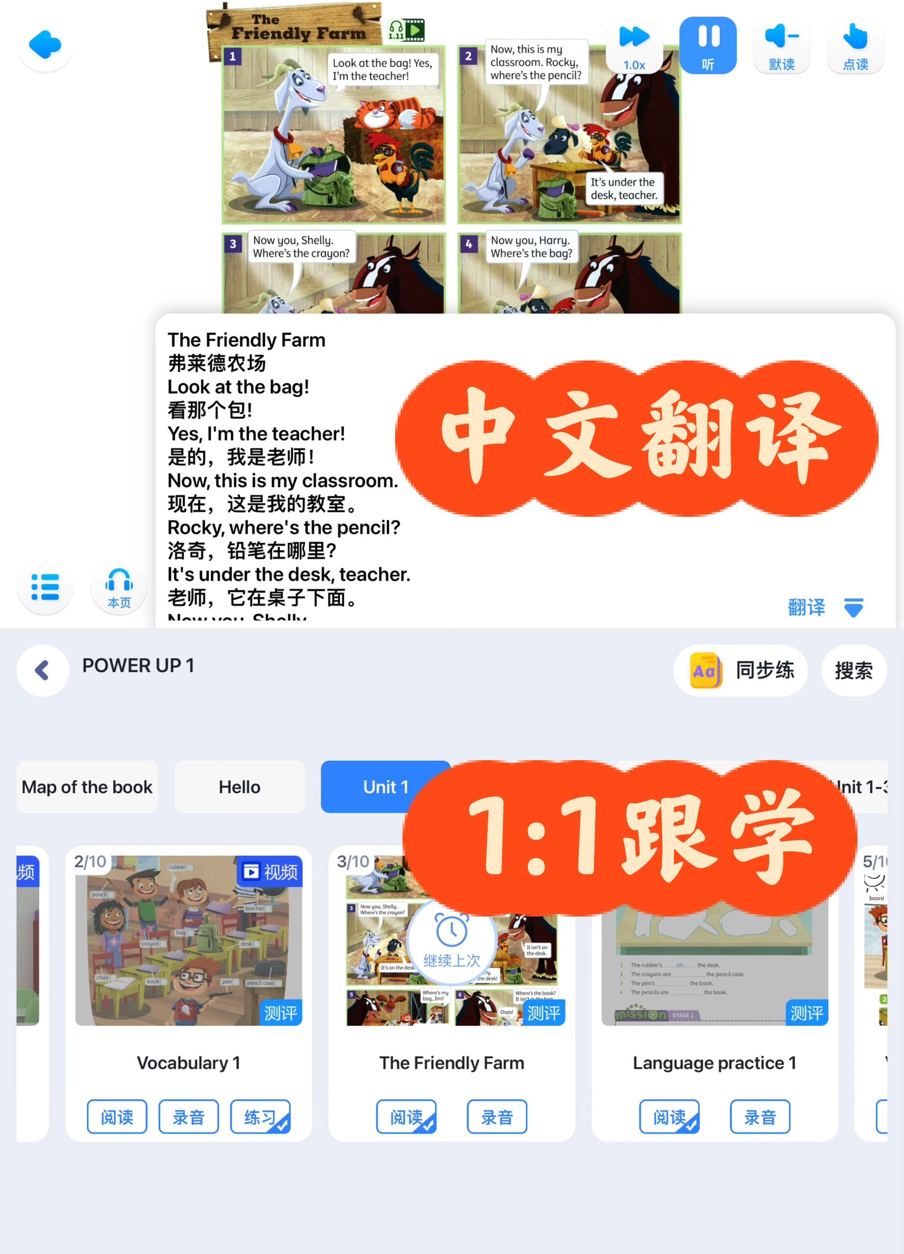 13405419086767888.jpeg